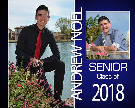 8X10 ANDREW copy