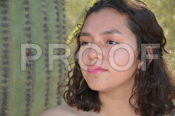 DSC_4739