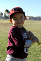 Diamondbacks Fall 2013