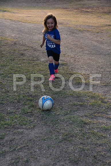 DSC_8022
