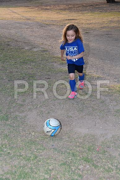 DSC_8015