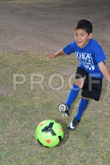 DSC_7894