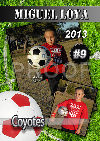 PLAYER CARD FRONT - MIGUEL