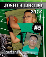 JOSHUA PLAYER PROFILE copy