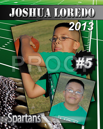 JOSHUA PLAYER PROFILE copy