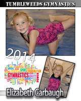 Elizabeth Carbaugh-GYMNASTICS 4-22-14