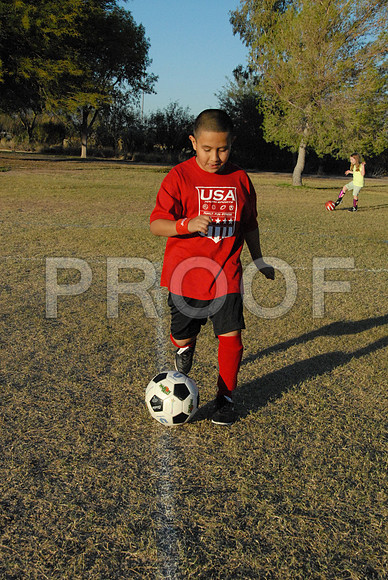DSC_0784 - Copy