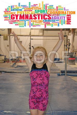 SEASON PASS - GYMNASTICS copy